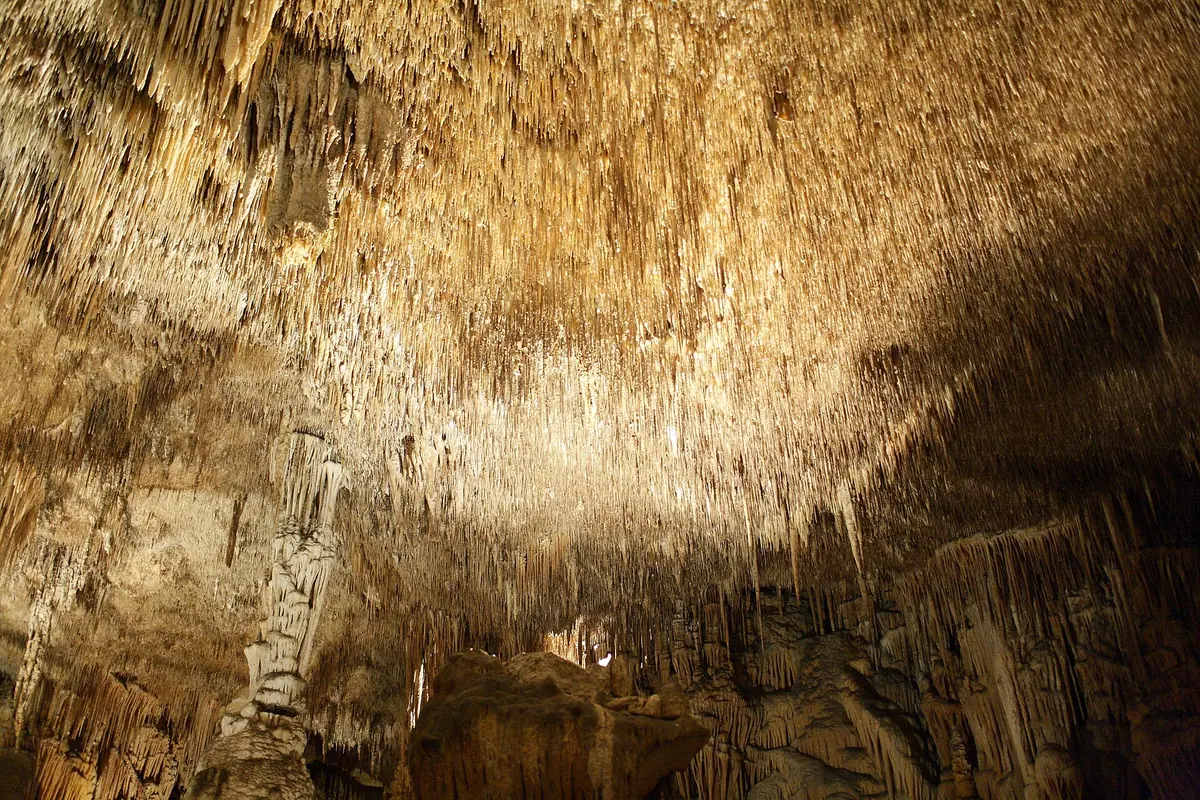 A ceiling covered with thousands of golden stalactites, lit from the front, over a dark cave floor.