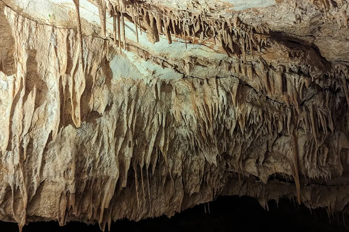 A wall of rippled calcite curtains and thin stalactites lit from below in one of the galleries.