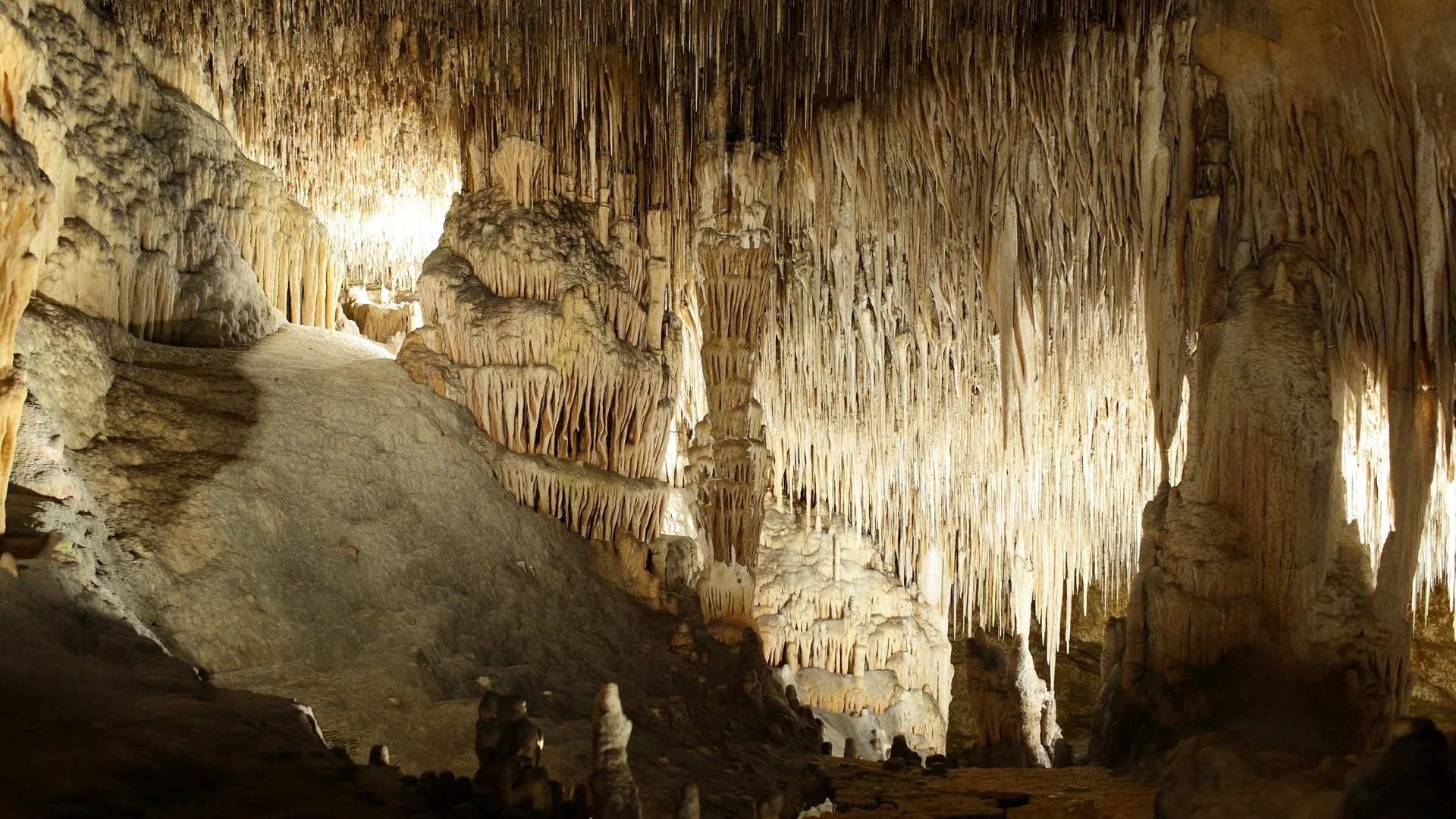 A lit path winding through the Drach caves, between golden curtains of stalactites hanging from the ceiling and rock walls on either side.